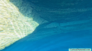 xsiteability.com - Blue Hole in New Mexico; the full version! thumbnail